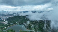 东莞市相关部门弄虚作假，违法违规发放相关证件给观音山公园内的豪华别墅，